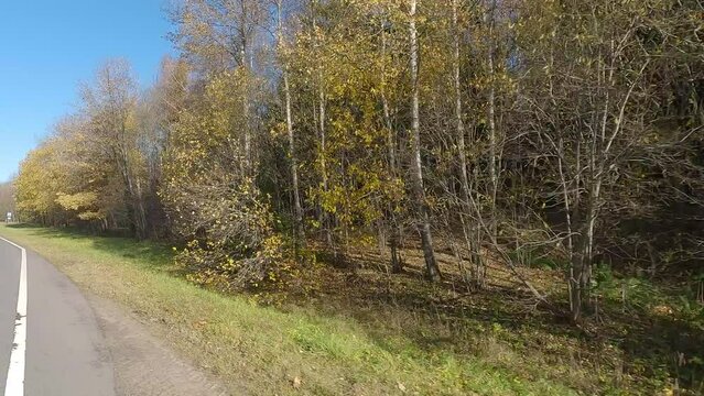 roadside view, landscape in a autumn