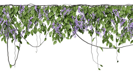 forest of vines flower decorated the upper border on transparent background - obrazy, fototapety, plakaty