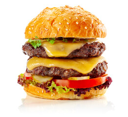 Fresh tasty burger isolated on white.