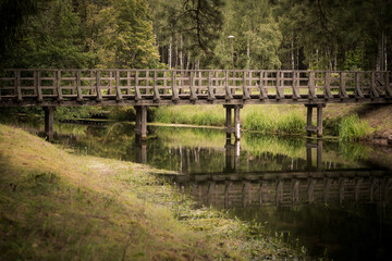 Wooden bridge over the river in the forest. Subdued.
