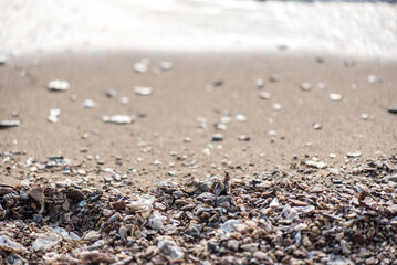 A landscape picture of sands, pebbles and shells in the beach