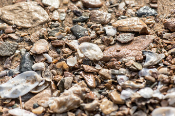 A landscape picture of sands, pebbles and shells in the beach