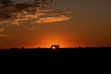 atardecer con arboles de fondo