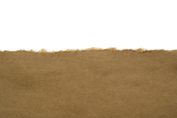 Papel rasgado de color marrón sobre fondo blanco, recurso gráfico