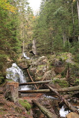 Blick auf die Rißlochwasserfälle bei Bodenmais im Bayerischen Wald