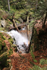 Blick auf die Rißlochwasserfälle bei Bodenmais im Bayerischen Wald