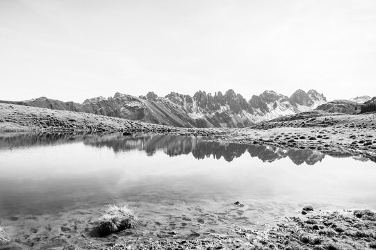 Kalkk&ouml;gel spiegeln sich im Salfeinssee