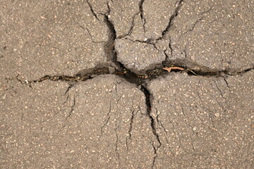 Obraz premium green moss lichen in cracks on asphalt, road surface in cracks from global warming, concrete gray road surface, long holes in the surface, yellow moss, moss blossom 