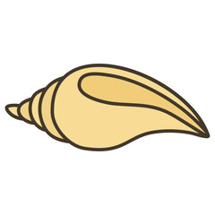 mollusk seashell sea snail