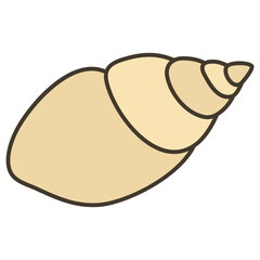 illustration of seashell