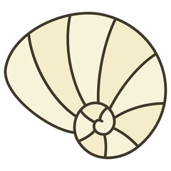 seashell illustration