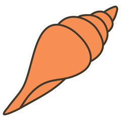 illustration of a seashell