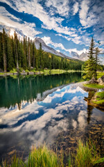 A serene lake surrounded by a dense pine forest.
