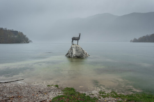 Flooded lakeshore with mountain goat statue on% lake Bohinj