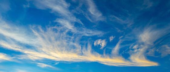 Panorama Clouds sunset are streaks and blue sky.Flushed, fluffy white clouds scatter in full light clear sky.