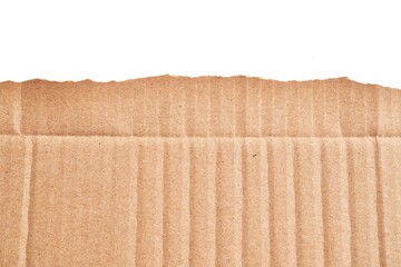  One ripped piece of cardboard material over isolated white background