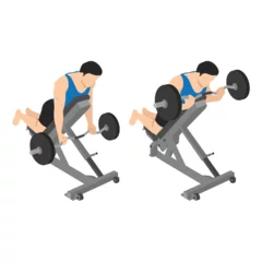 Fotobehang Man doing reverse incline bench barbell curl exercise. Flat vector illustration isolated on white background © lioputra