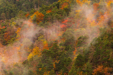 Stunning Autumn Scene at Ordesa National Park, Torla, Spain