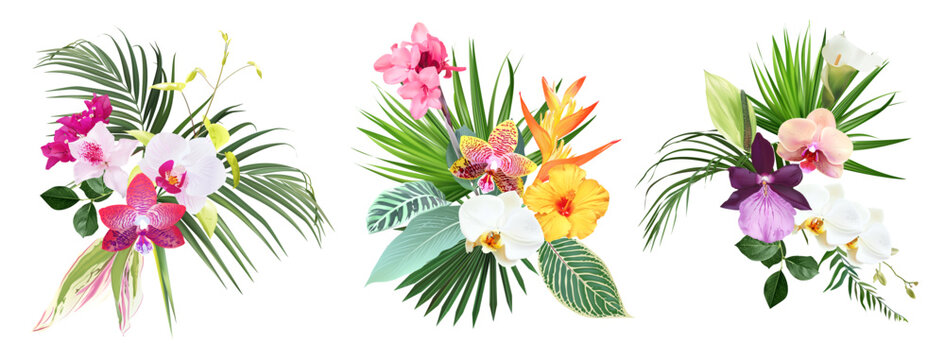 Pink canna flower, white and striped orchid, calla lily, yellow bird of paradise, tropical leaves design vector bouquets