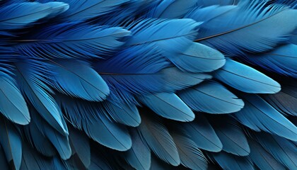 Intricate blue feather texture background with detailed digital art of large bird feathers