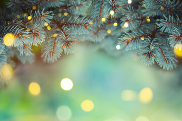 Fir branches with beautiful festive bokeh lights. Christmas holiday background