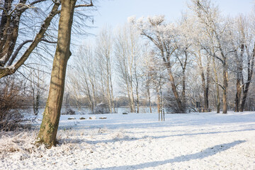 Fototapeta na wymiar Snow on trees and ground in a park in the sun in wintertime