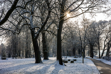 Snow on trees and ground in a park with a footpath in the sun in wintertime