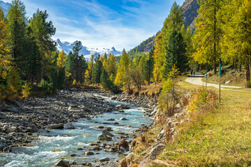 Herbst im Val Roseg, Ova da Roseg, Pontresina, Engadin, Kanton Graubünden, Schweiz, - obrazy, fototapety, plakaty