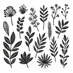 black Plant nature hand drawn set. Collection botanical element. vector on white background