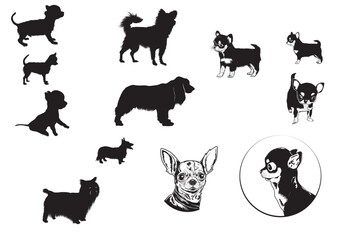 silhouettes of pet dogs - obrazy, fototapety, plakaty
