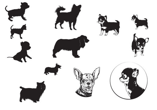 silhouettes of pet dogs