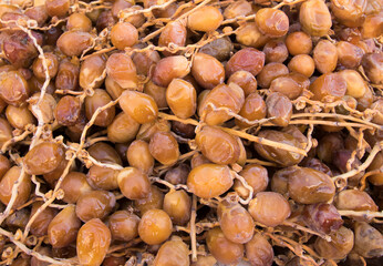 Fresh dates of the date palm (Phoenix dactylifera), is a flowering-plant species in the palm family, Arecaceae, cultivated for its edible sweet fruit called dates. 