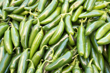 A cluster of the jalapeño is a medium-sized chili pepper pod type cultivar of the species Capsicum annuum. 