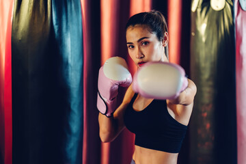 Female Boxer training in Boxing Club. Woman Boxing fighters training at gym. Strong muscular woman...
