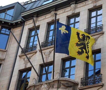 waving flag of Flanders with the black lion rampant which is the symbol