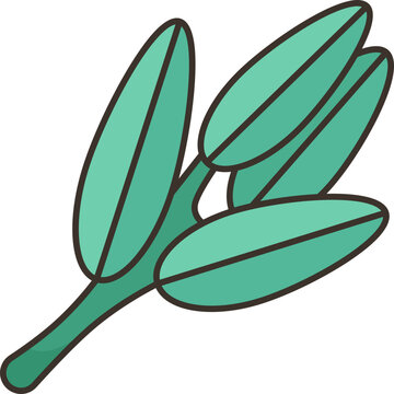 sage  icon