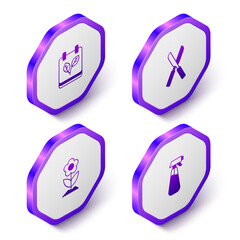 Set Isometric Calendar with autumn leaves, Gardening scissors, Flower and sprayer for water icon. Purple hexagon button. Vector