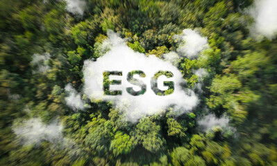 ESG icons on top view of forest for environment, society and governance, sustainable corporate...