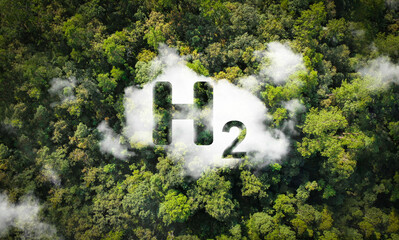 H2 symbol on green in the forest green energy Hydrogen or eco-technology Renewable energy, clean energy, hydrogen is environmentally friendly and has the potential to be the fuel of the future.