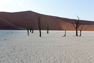 A photo of deadvlei at sunrise