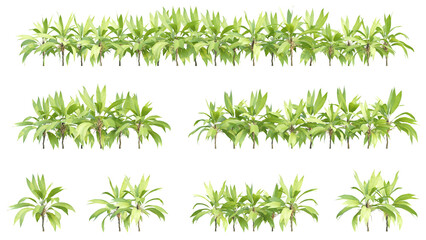 3d illustration of garden plants isolated on transparent background. High resolution for digital composition