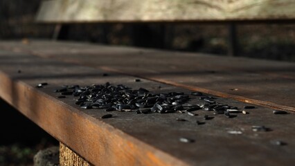 Wooden bench with a handful of sunflower seeds scattered on top. - obrazy, fototapety, plakaty