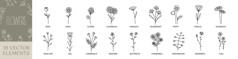 Flower icons. Flower icon set. Line art style.