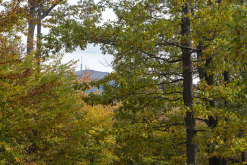Obraz premium Tower ám the hill ín autum 