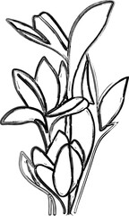 Leaves and flowers drawing line decoration design.