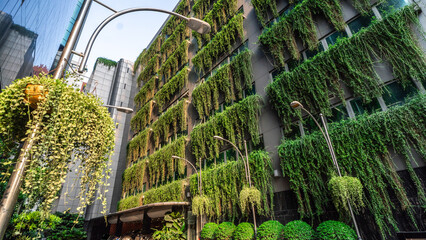 Living green walls on the buildings in natural light.