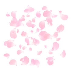 flower petals falling floating in the air