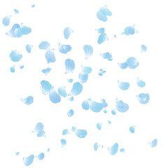 flower petals falling floating in the air