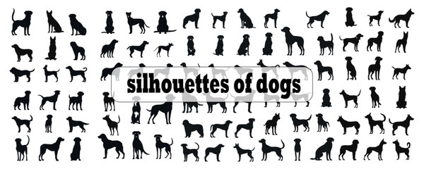 Modern collection isolated black silhouette of a dog vector illustration 