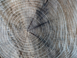 Naklejka premium Verwitterte Holztextur